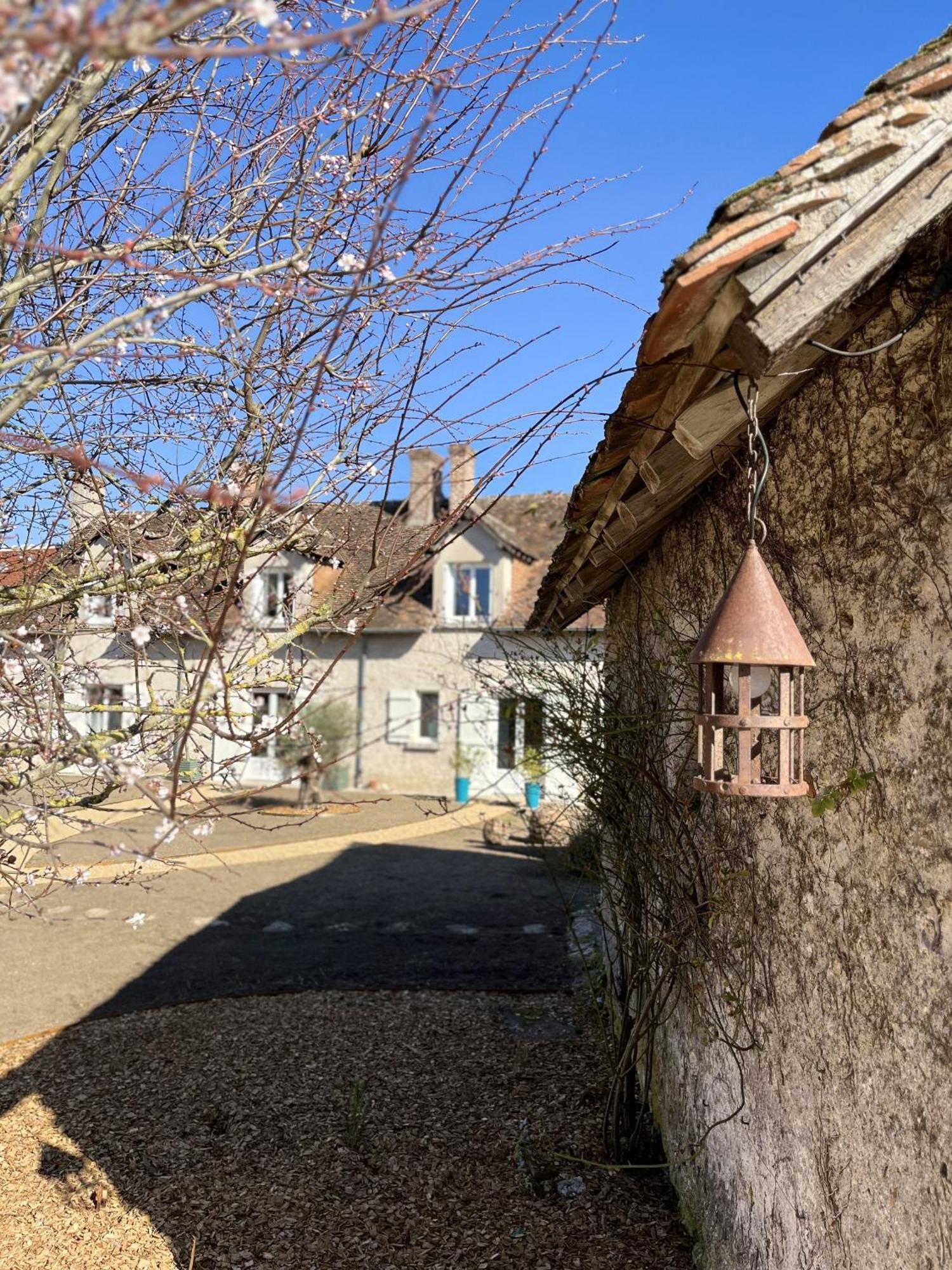 Nuits De Loire -Entre Blois Et Chambord Bed and Breakfast Vineuil  Habitación foto